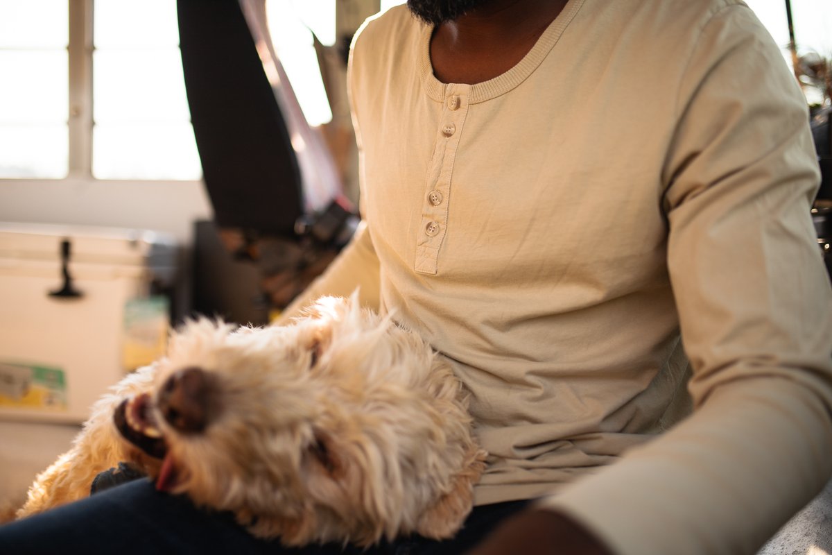 LumberUnion's tweet photo. Our Men's Henley's are so soft, you won't want to take them off. 

#LumberUnion | #MensHenleys https://t.co/SEGXEDWYGc