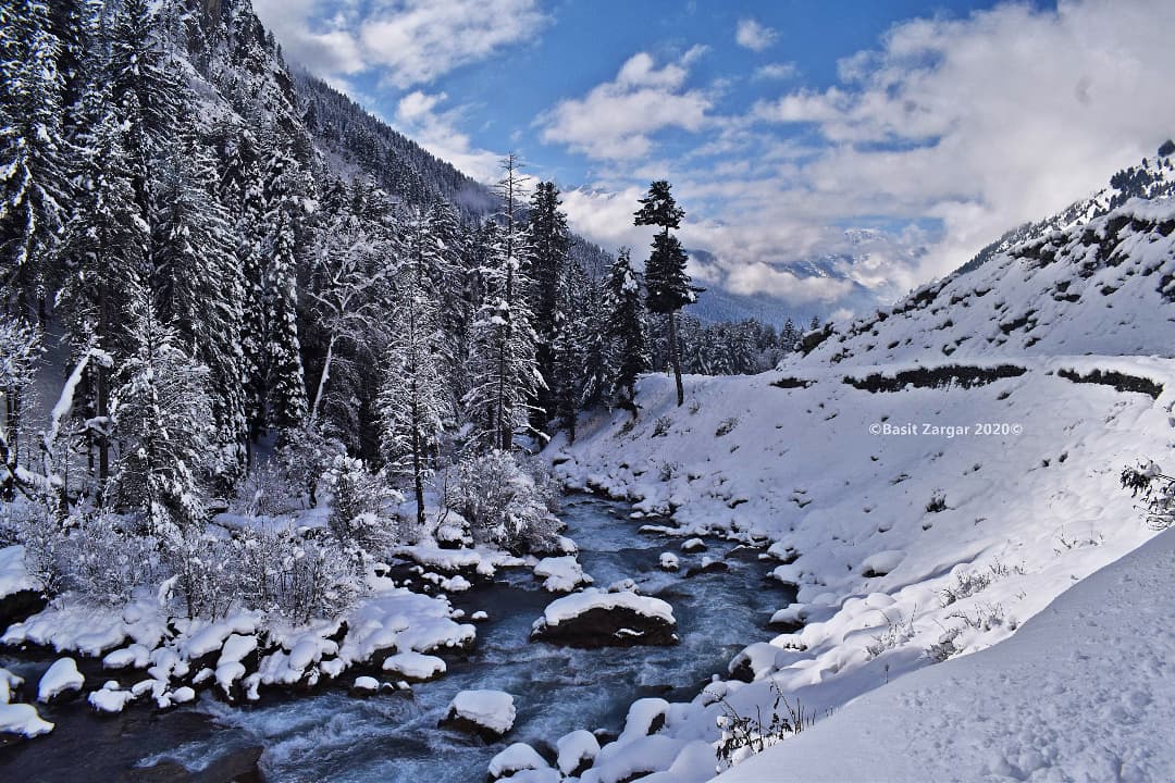 basiitzargar's tweet photo. On World tourism day, I am sharing few pictures of Kashmir's beauty https://t.co/bZUkxIwnvz