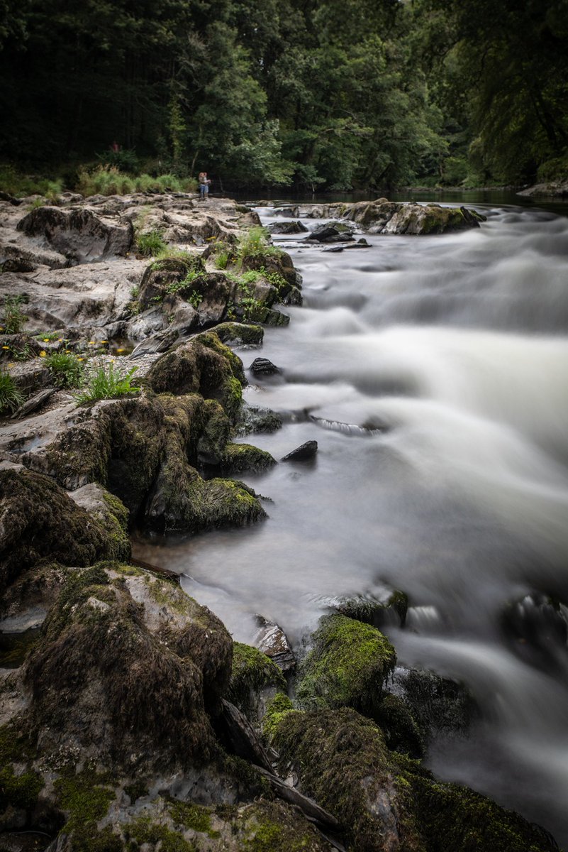 📸📍 Cenarth Falls
 
The charming village of Cenarth is located right on the border of Pembrokeshire, Ceredigion and Carmarthenshire✨
 
It's known for its collection of small waterfalls and pools along the river Teifi and is a popular spot for fishing enthusiasts 🎣