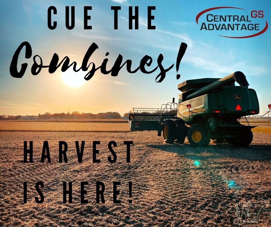 Central Advantage GS tweet media