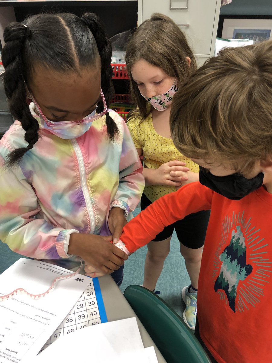 Castle Fox tweet media