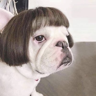 pgay_martins's tweet photo. Cortei o cabelo gostaram?
#makeover #repaginada #NovaFotoDoPerfil https://t.co/H1ryypElTB