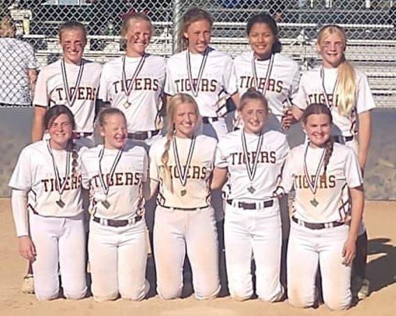 Tiger Softball tweet media