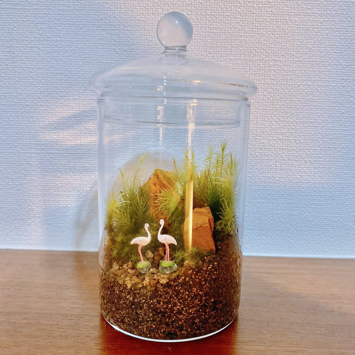 石ダテコー太郎の裏垢 Ishidate Uraaka Twitter