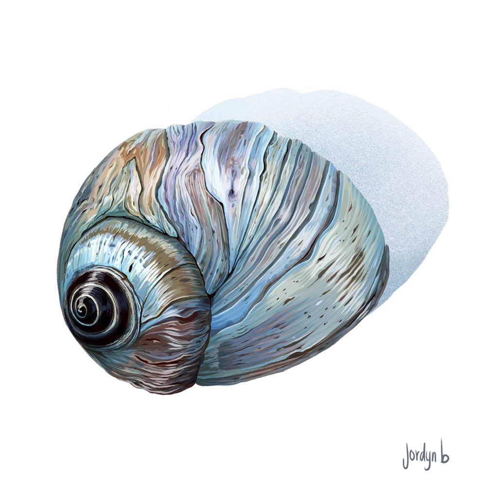 A digital paint study that went somewhat off the rails. Hermit crab feelings.