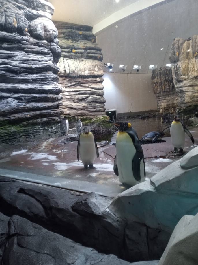 Après une #NuitChercheur riche en échanges, le #LatimU1101 vous donne rendez-vous à la fête de la science <a href="/capucinsbrest/">Les Ateliers des Capucins</a> !

<a href="/InsermGrdOuest/">Inserm Grand Ouest</a> <a href="/UBO_UnivBrest/">UBO - Univ. Brest</a> <a href="/IMTAtlantique/">IMT Atlantique</a>