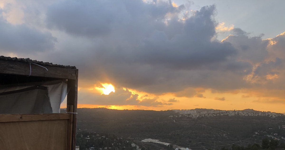 קשה עלי פרידתכם #frumtwitter #succos #Jerusalem