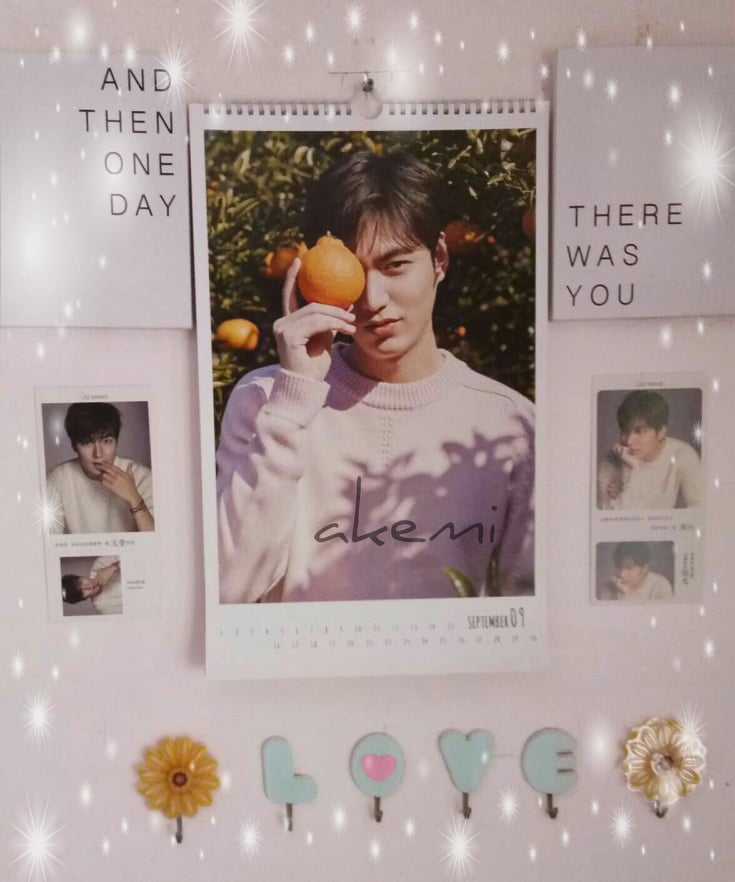 zhainex's tweet photo. D 27 - it's bittersweet the month is almost ending I told myself that I'll make collage photo of u everyday but I guess I got lazy and my mood swing sucks sometimes... just some freebies and stuff I've collected through the years #DecadewithMinho #10yearswithyou @ActorLeeMinHo https://t.co/p3ovCOggqz