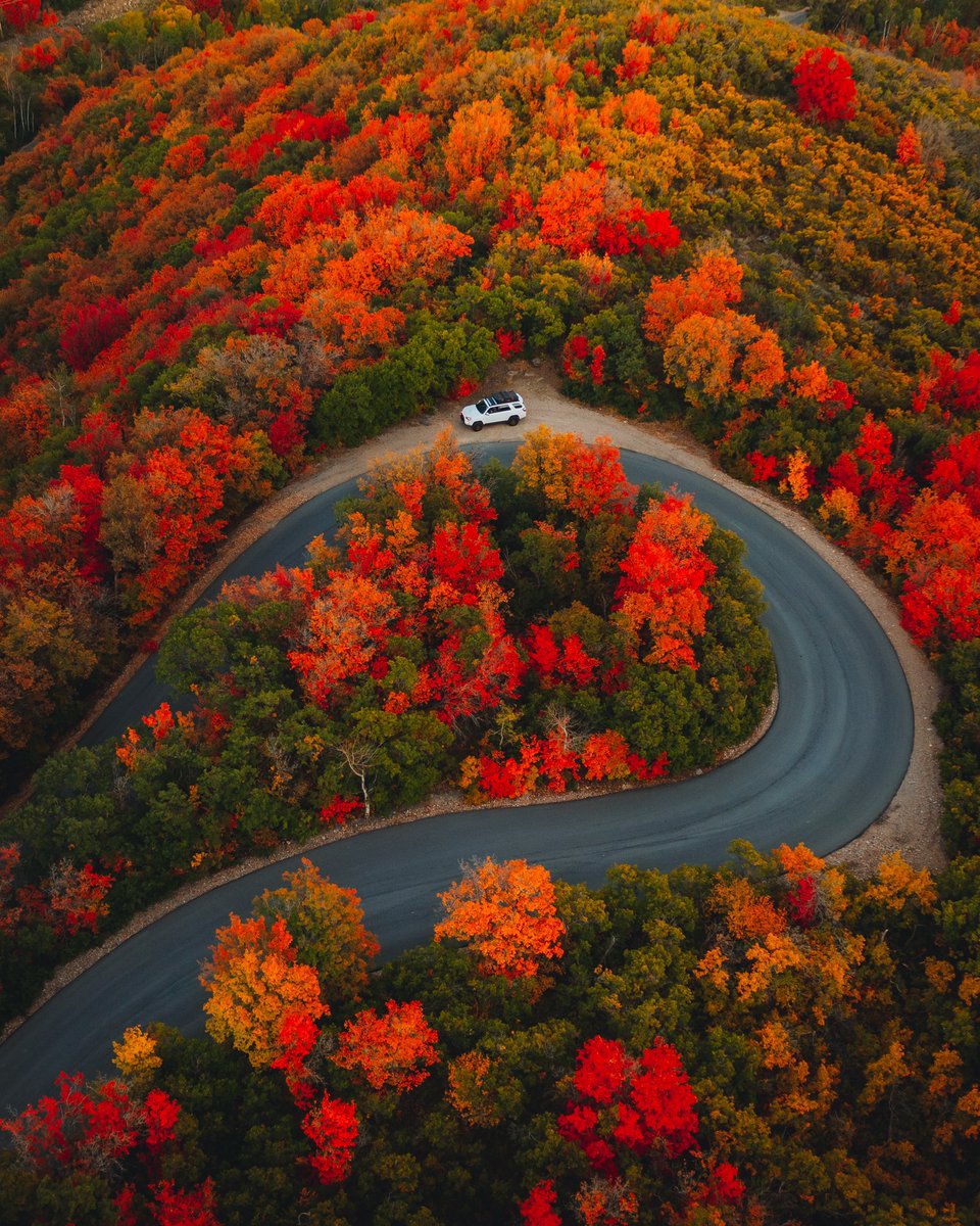erickerr_eth's tweet photo. Fall is Utah is going off this year 😍 https://t.co/aK4j5Mp1lb