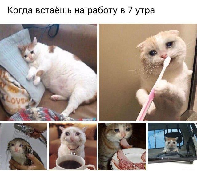 RussianMemesLtd's tweet photo. When you get up for work at 7 am https://t.co/o7xsijqaIY