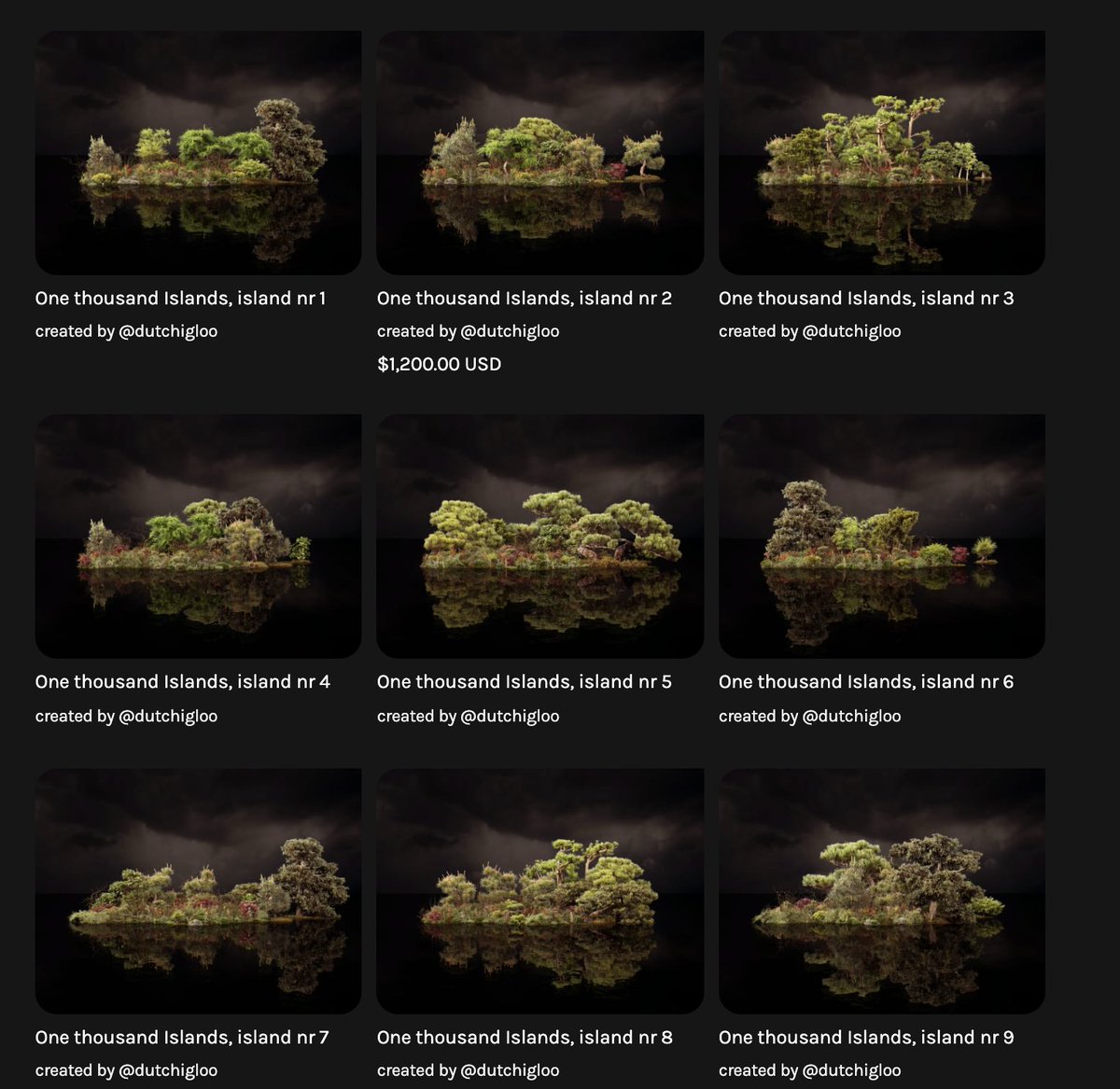 Dutch Igloo tweet media