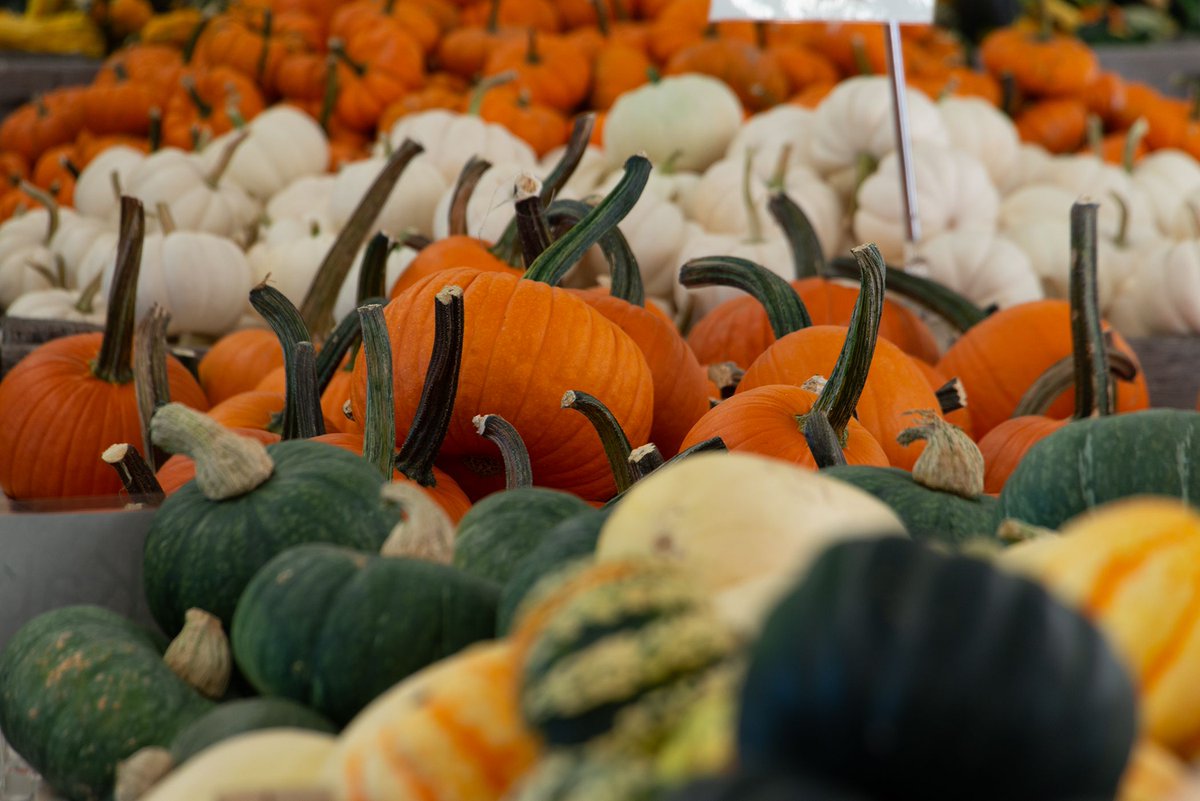 Our first stop on Friday’s small business tour was at Lewis Orchards in Dickerson. This family-owned business has been in <a href="/MontgomeryCoMD/">Montgomery County MD Government</a> since 1888. 
Learn more: buff.ly/3lY5Yl6
View more photos ➡ buff.ly/3ESSIXw
<a href="/MOCOBizSolution/">MOCOBizSolutions</a> <a href="/MCSmallBizNav/">Small Business Navigator</a> <a href="/MoCoOAG/">MoCo Office of Ag</a>