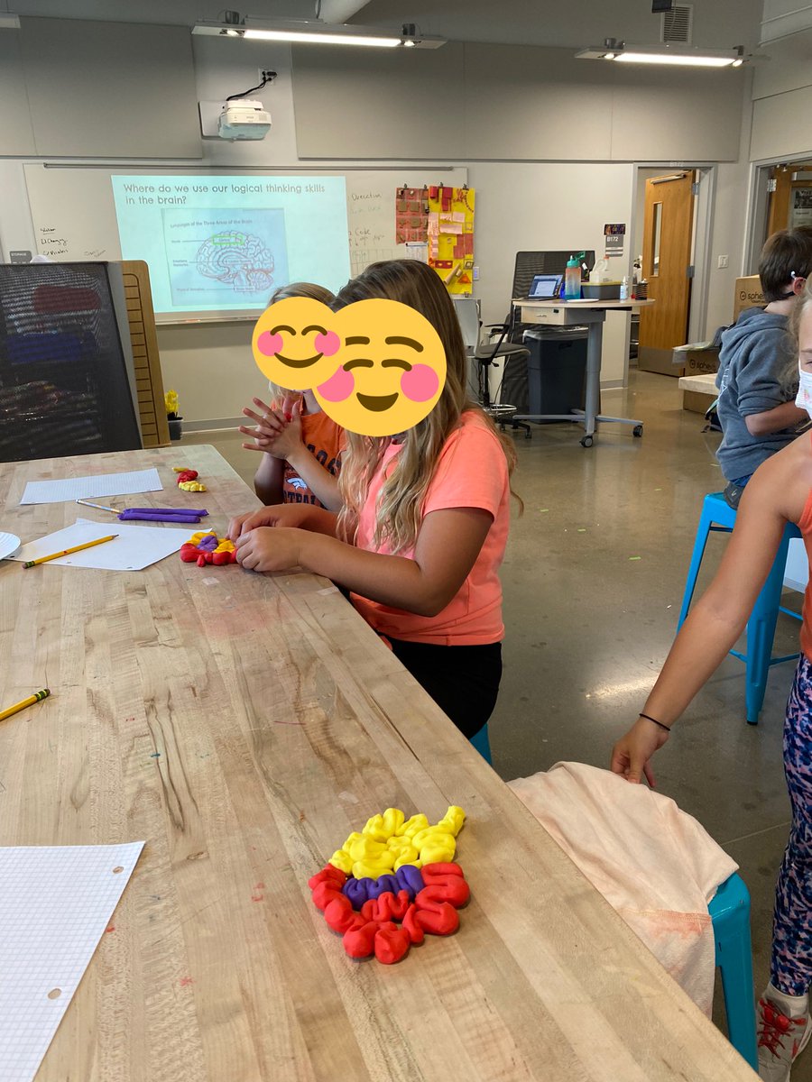 Making neuroscience fun and tangible for 3rd grade! Ss used clay to model parts of the brain: Cortex, Limbic System &amp; Brain Stem.After, they made neurons out of pipe cleaners and used labels to identify the parts! DM for resources! <a href="/SHPK8/">Cyrus Weinberger</a> #stvrainstorm #svvsdlearns #neuroscience