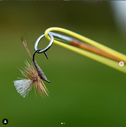 FarmsWhiting's tweet photo. May fish one today myself, tied by @kurefluer
Adams variant size 16. The fly is tied on @ahrexhooks FW503 Dry Fly Light Barbless 🇩🇰
•
•
•
#dryfly #dryflies #fw501 #barblessflies #ahrexfreshwater #fishingwithaconscience #dryflyonly #torrfluga #dryflyfishing #flyfishing https://t.co/s2RoaR8u51