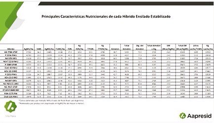 Regional_VM's tweet photo. III Informe Anual de Ensilaje: Evaluando Características Productivas y Nutricionales de híbridos de #maíz. #juntosSabemosMas 🌱🌽♻️ https://t.co/DMHyuGvlDp