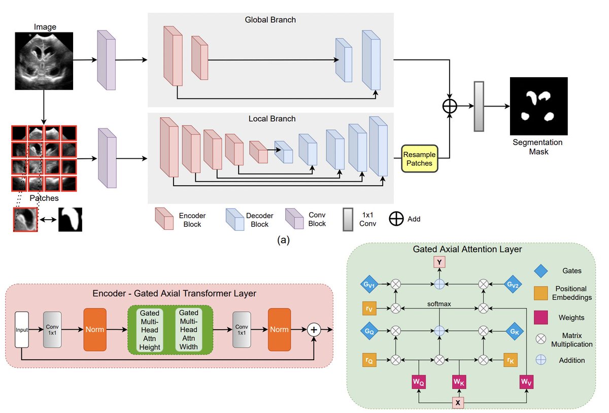 Excited to present 2 papers at #MICCAI2021 <a href="/MICCAI_Society/">MICCAI Society</a> 

1) Medical Transformer: Gated Axial-Attention for Medical Image Segmentation

Paper- arxiv.org/abs/2102.10662
Code- github.com/jeya-maria-jos…
(13.30 EDT 9/30)
with <a href="/ozapoojan081/">Poojan Oza</a>, <a href="/ilkhch/">ilkhch</a>, and Vishal M. Patel <a href="/JHUECE/">JHU ECE</a>  (1/2)