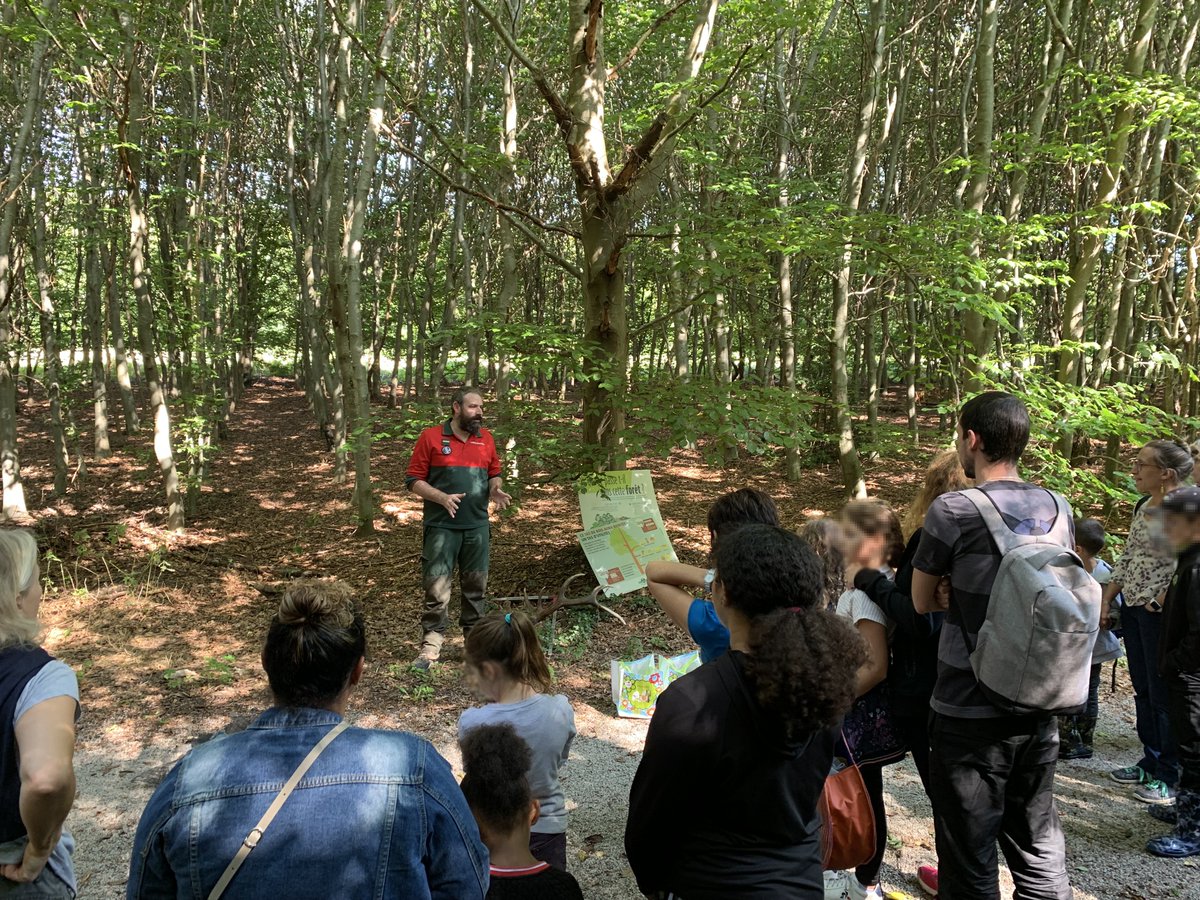 CCIRouenM's tweet photo. Session ramassage des déchets en forêt de #Roumare pour les collaborateurs #CCI 🌳 Résultats de la collecte : 1150 L !
Une action labellisée ♻️ « Eco-Manifestation » par la @MetropoleRouenN et accompagnée par l'@ONF_Officiel
L'avenir de notre planète est l'affaire de tous 🙏🌍 https://t.co/p36BgRj4p9