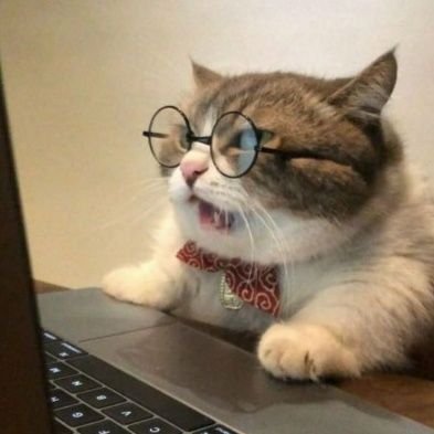 based_dept_'s tweet photo. @JessieMorii @icebergy @CupcatNFT Oh Jessie please do meeeee!!! I'm already a cat. But I wish I were a froyo cat! 😭 https://t.co/TKcxLGWY4a