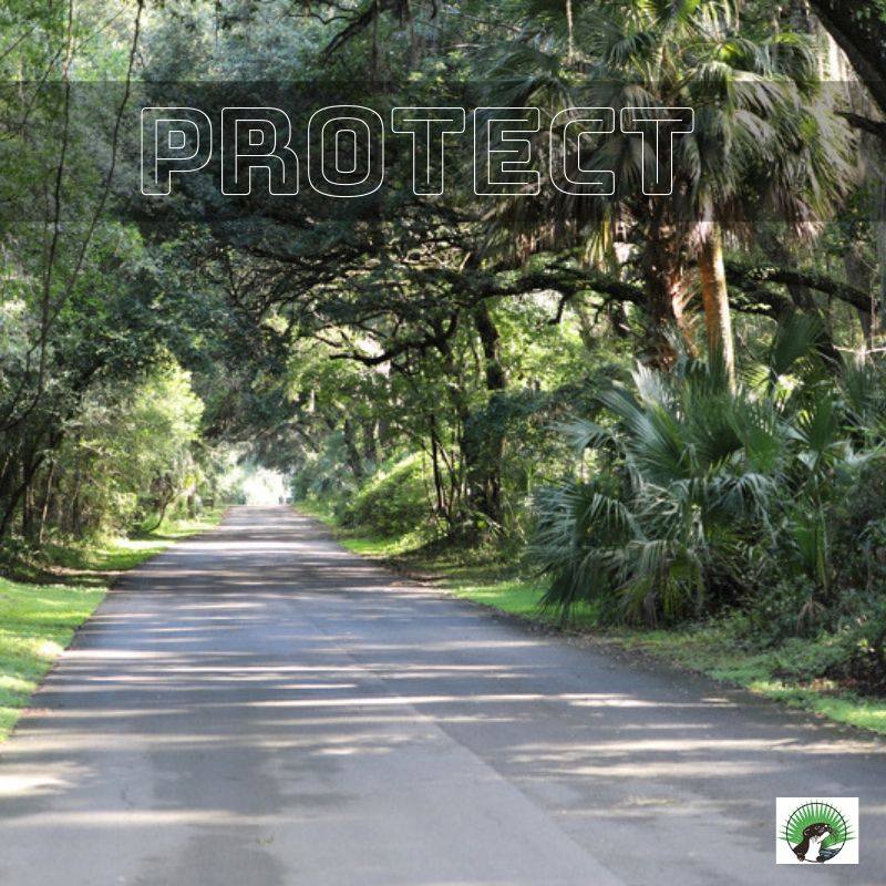 GNVCleanWater's tweet photo. “The environment and the economy are really both two sides of the same coin. If we cannot sustain the environment, we cannot sustain ourselves.” —Wangari Maathai #exploregnv #goexplore #cleanwater https://t.co/dgtytE2q3S