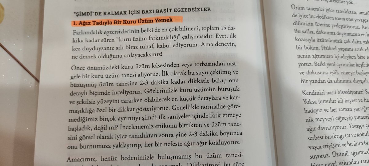 Reyhan06596586's tweet photo. An farkındalığına kafayı taktım. Üzüm deyip geçmeyin, deneyimlediğim anı düşününce sanki burada değil başka bir gezegendeydim. #ifa2 @SinanCanan https://t.co/4ygeX5Iup1
