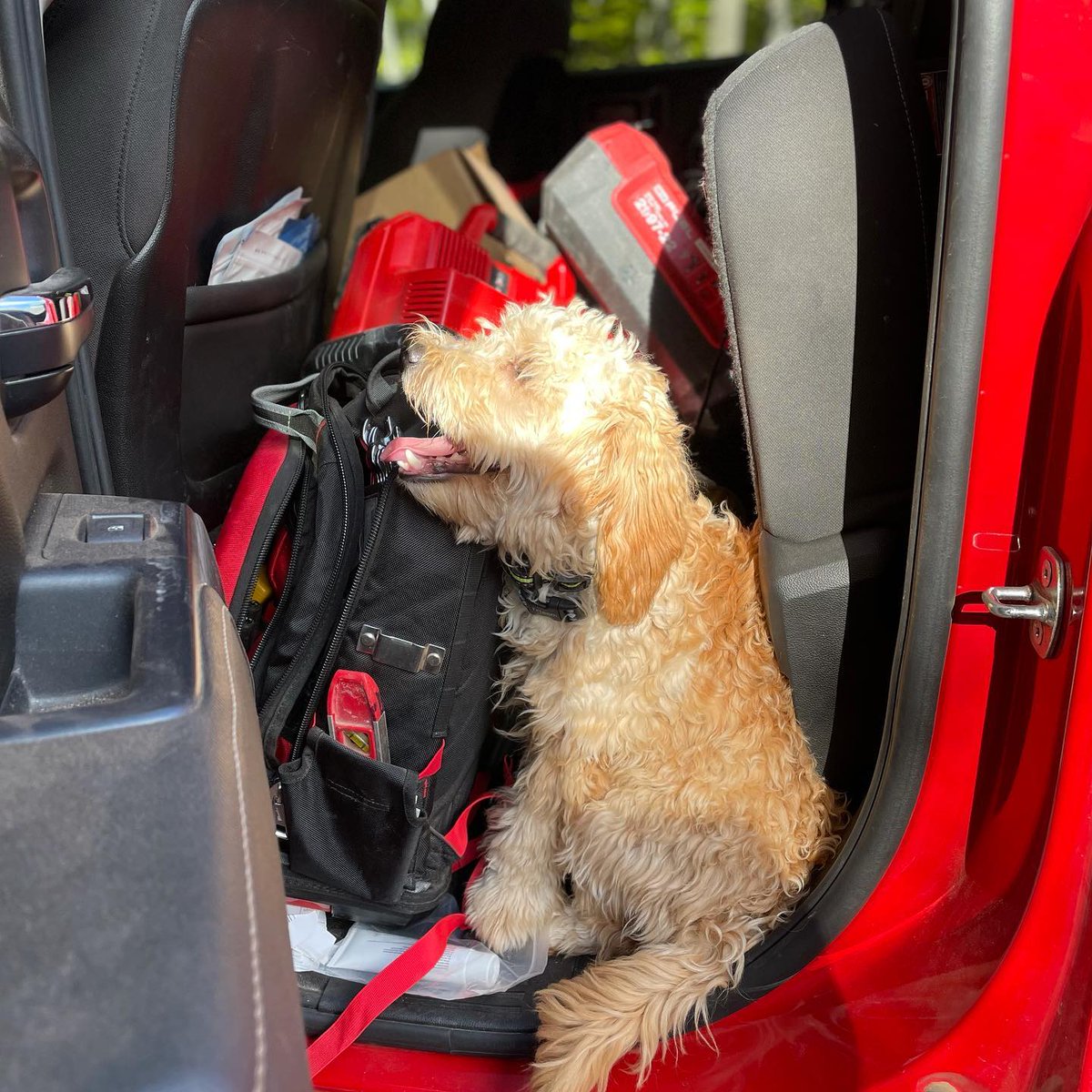 DahlConstructio's tweet photo. Copper was ready to go to work this morning!  Happy Monday! https://t.co/SHehuX2CVt