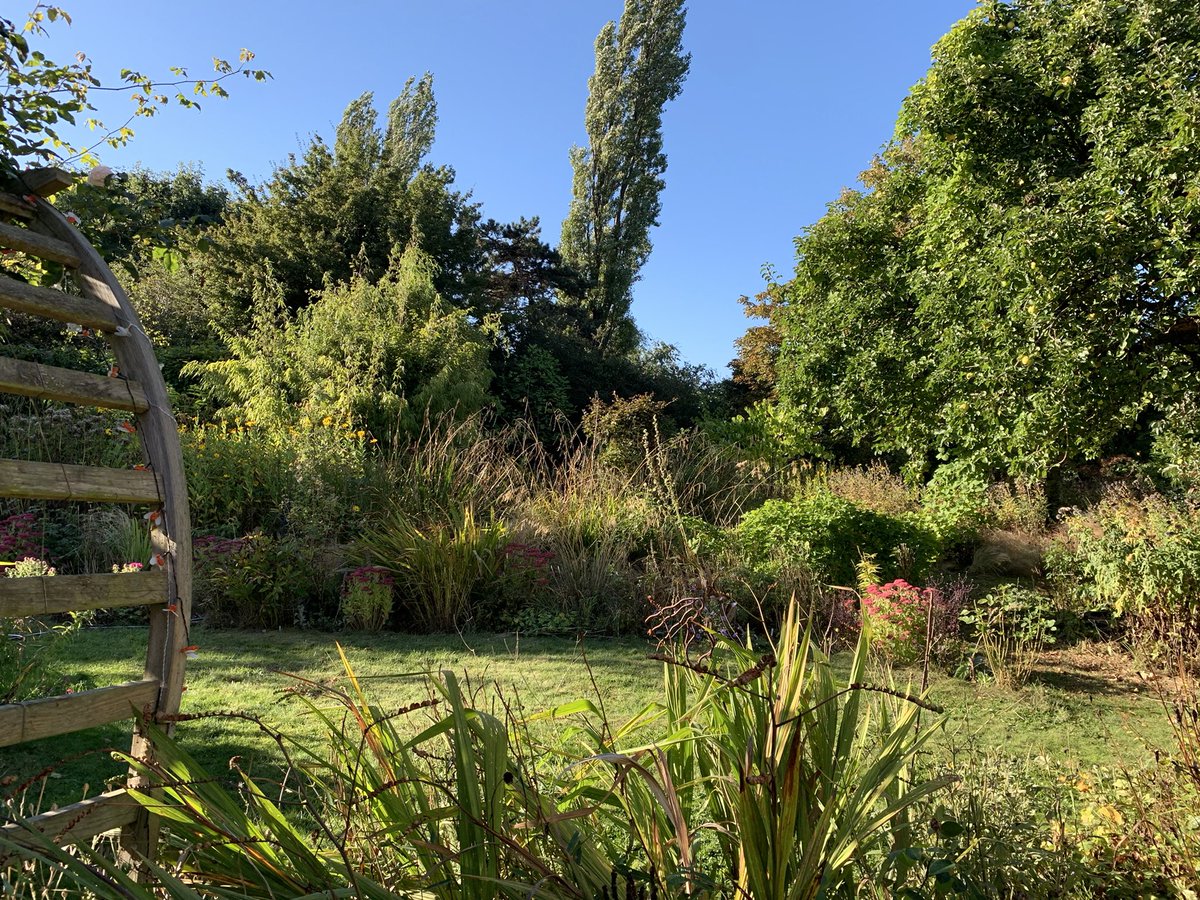 I’ve been away for a couple of days and there is nothing as good as getting home and saying hello to the garden again #imissedyou #gardening #mygarden