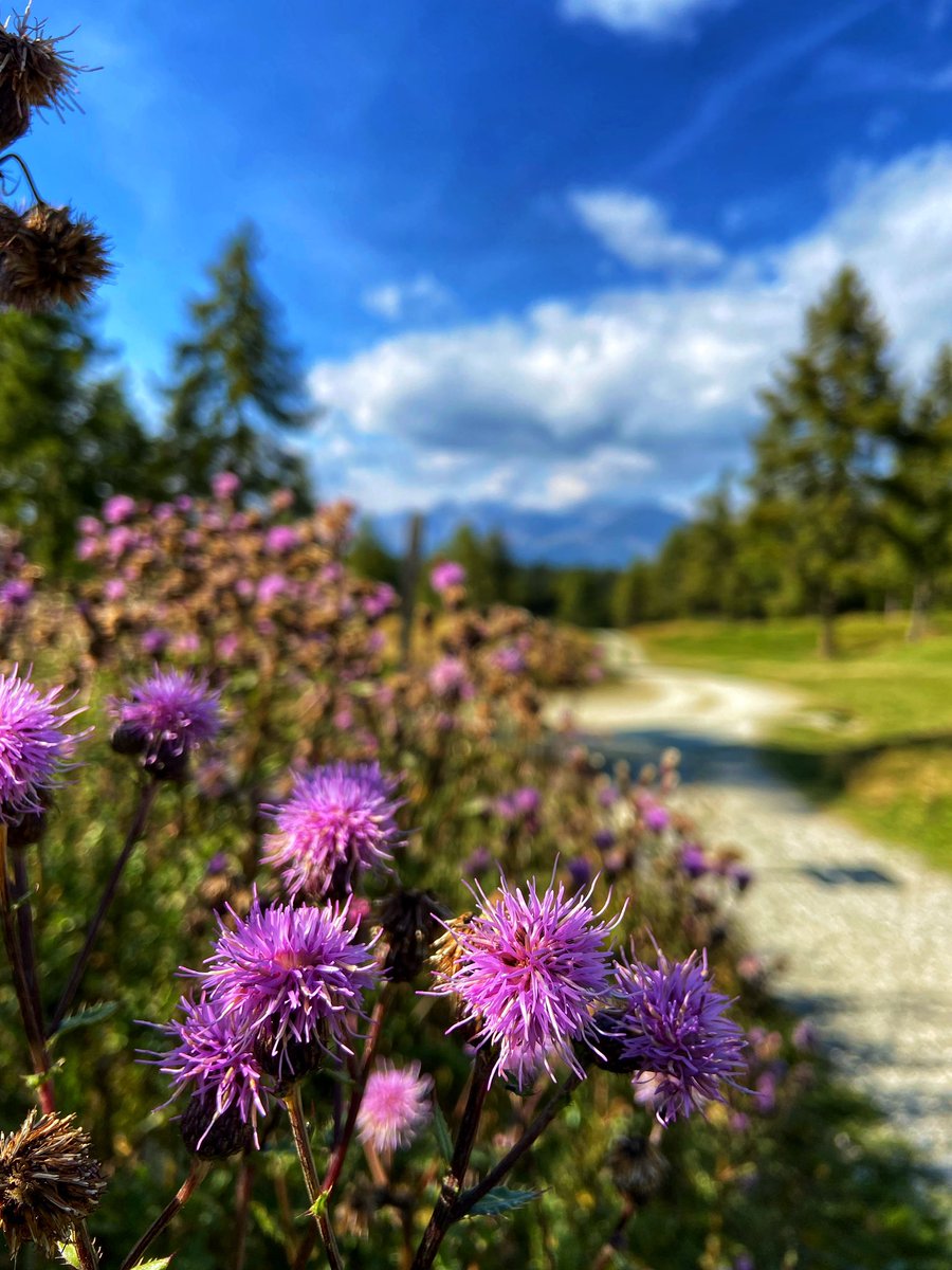 maybfairytale87's tweet photo. Heute vom Parkplatz Zumis zum Astjoch - 17,44 km, 05:27h, 518hm
#altoadige #italy #mountains #rodengo #astjoch #südtirol https://t.co/GIUxCZ9p1z
