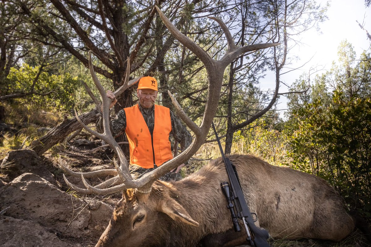 thelindseyway's tweet photo. Big D connects in Colorado!
The full moon has had them in the thick canyons most of the daylight hours but we moved in tight to this big 6x6 and he left his cows looking for a fight!
@Muzzleloaders @BOGPOD @NoseJammer @MOGameKeepers @MossyOak
#thelindseyway #snacksforracks https://t.co/JUx85zCYzX