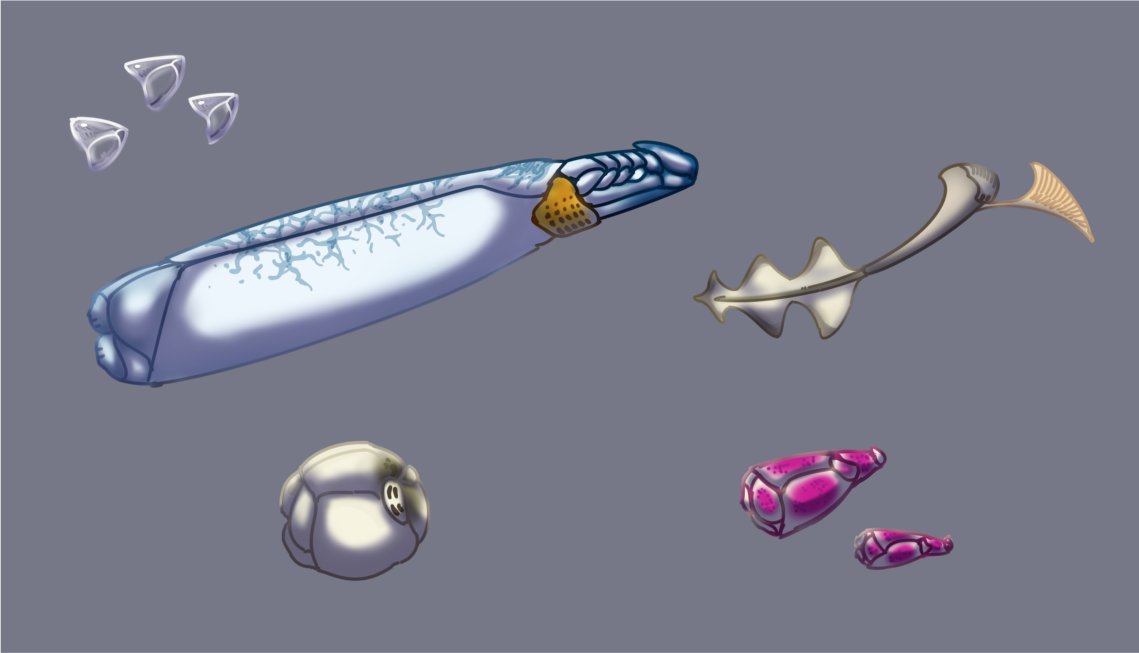 Fauna of Europa 
#alienlife #xenobiology #speculativeevolution #specevo