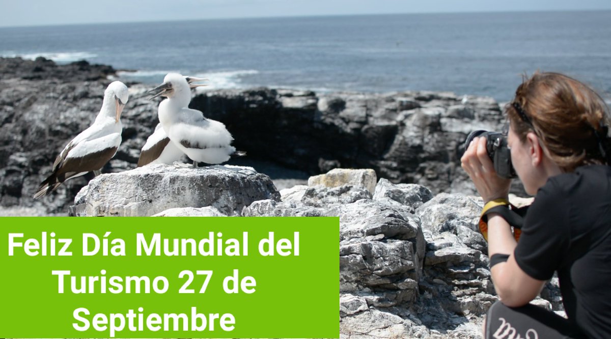 imaginadeseayviaja.com

Sigamos creciendo y apoyándonos por un turismo responsable, sustentable, honrado y ético en nuestro bello #Ecuador  y el #Mundo

FELIZ DÍA DEL TURISMO 🐢🏞️🚢✈️🗽🏝️🏔️

#DiaMundialDelTurismo 
#ecuadorturistico 
#ecuadorprimero 
#turismoecuador 
#Turismo
