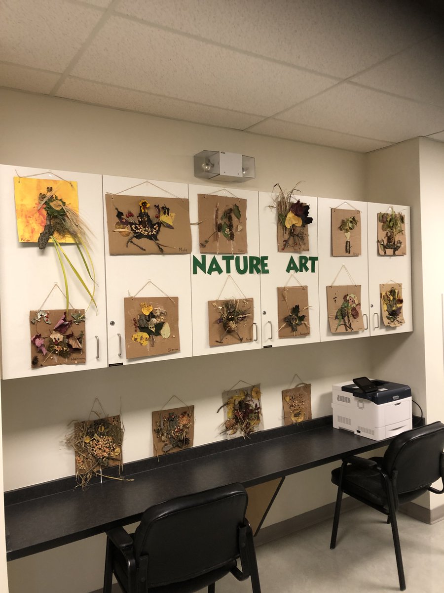 BlackGldSchools's tweet photo. SCHOOL NEWS | On the first day of Autumn, Ms. Mason's Grade 2's at #BGSD Thorsby Elementary School went on a nature walk &amp; gathered various natural forms related to create some awesome #natureart. #inspiresuccess https://t.co/GOyLodoe6S