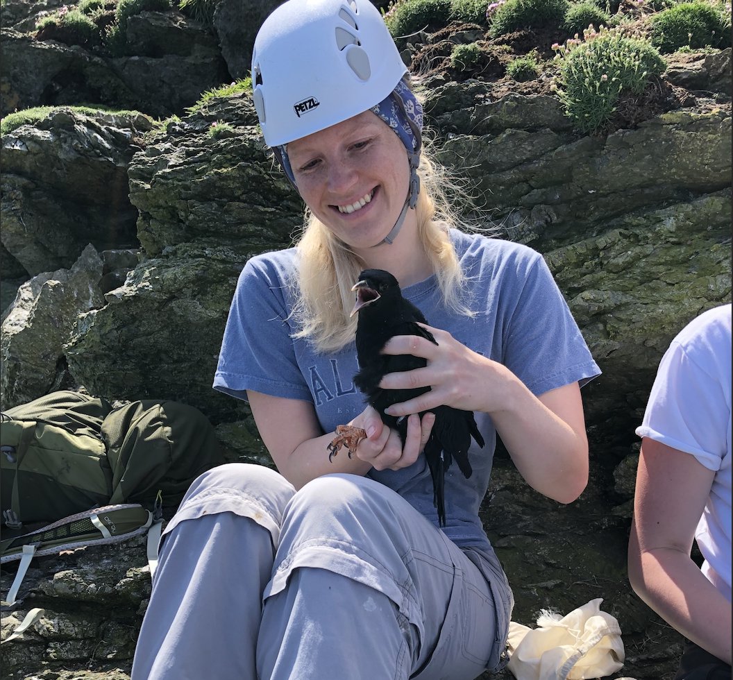 EEB_Sheffield's tweet photo. #meetEEBSheffield @EHughes27 is an @ACCE_DTP #ornithology PhD student supervised by Gavin Thomas and David Edwards. Her research aims to investigate current and future patterns of avian morphological and phylogenetic diversity. Check out her recent paper: https://t.co/yO6YkuVvkl https://t.co/ZG3UoKaEW1