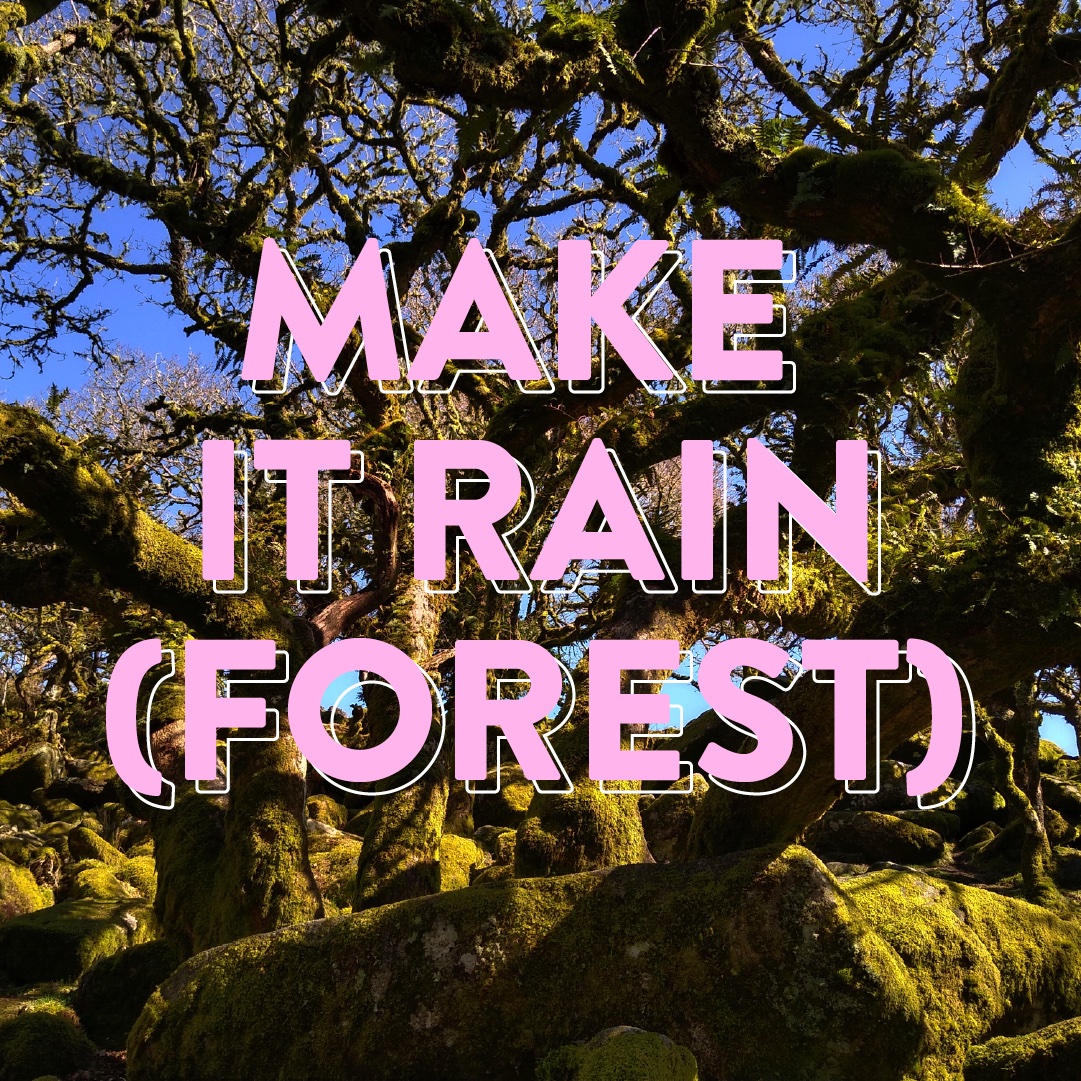 wildcardrewild's tweet image. The UK is a rainforest nation. Or it should be, sadly almost none survives. But it could all grow back, and a lot of ideal rainforest land is Royal land! Dartmoor for example. The Royals have the power to make us a Rainforest nation once again! WOW!  /1