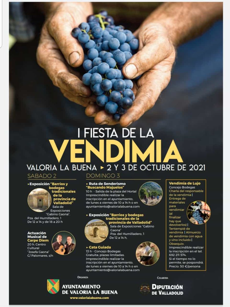 Viajar con Lorea - Bodegomania tweet media