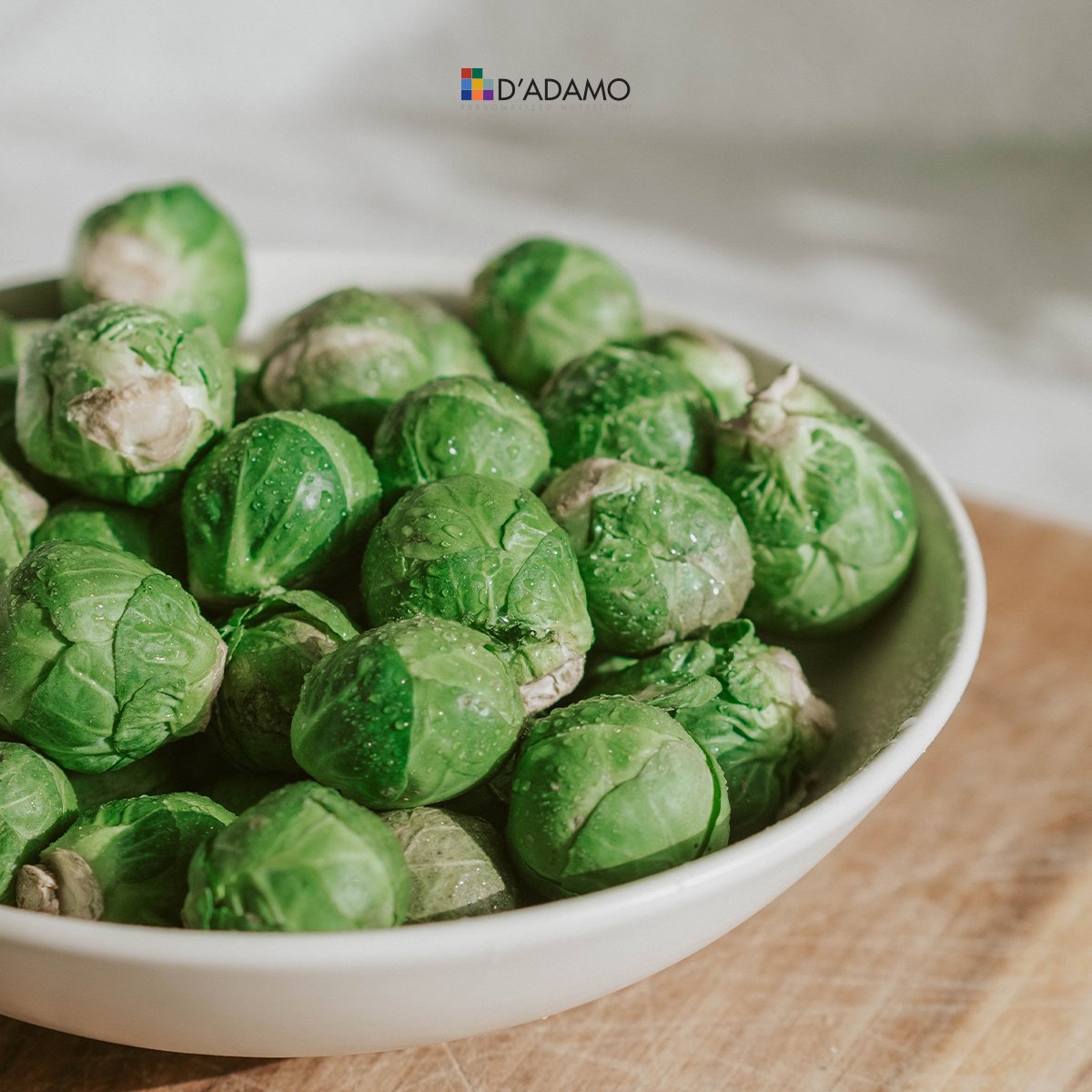 DADAMONUTRITION's tweet photo. Brussels sprouts are high in vitamins A, E and C, and are a fair source of iron. Find food values and in-depth analyses like this for your favorite foods using Dr. D’Adamo’s Typebase V.  https://t.co/7IS5oVXMyz
#brusselssprouts #typebase #bloodtypediet #eatright #4yourtype https://t.co/iFsEqTyYDJ