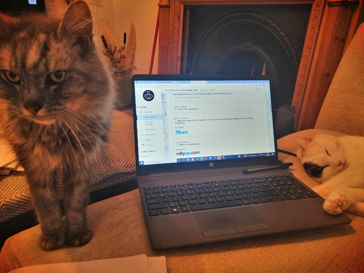 Gillian_GGraham's tweet photo. Feline excited about the #PawsInConvention and all the fantastic speakers. I'll be watching most of the sessions on demand later as its been a full on day caring for the cats (and dogs) ππ #Fundraising https://t.co/bMFoIcaUra