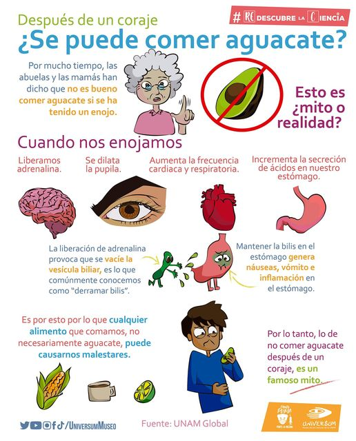 FacMedicinaUNAM's tweet photo. ¿Es mito o realidad que no debes comer aguacate 🥑 cuando te enojas? @UniversumMuseo https://t.co/PNZEcGEqWn