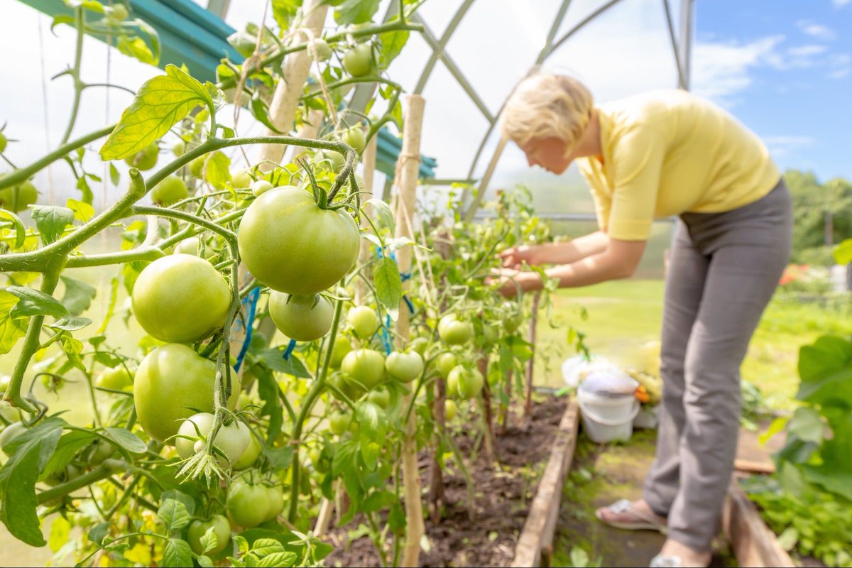 Will Mays tweet media