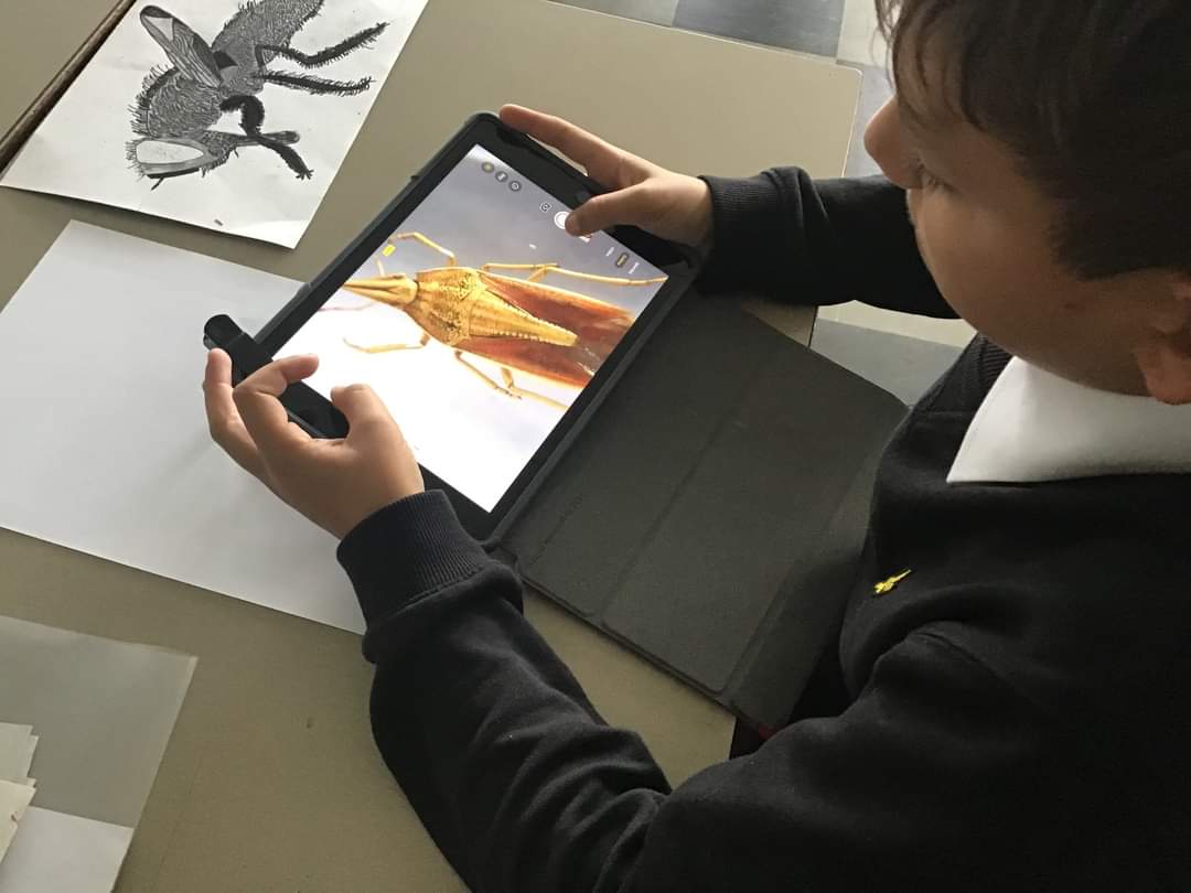 SelkirkHS's tweet photo. We are very proud to be recognised as an Apple Distinguished School 2021-24! 

See our story here: https://t.co/3YMBevRT4d https://t.co/fxYRvag9UR