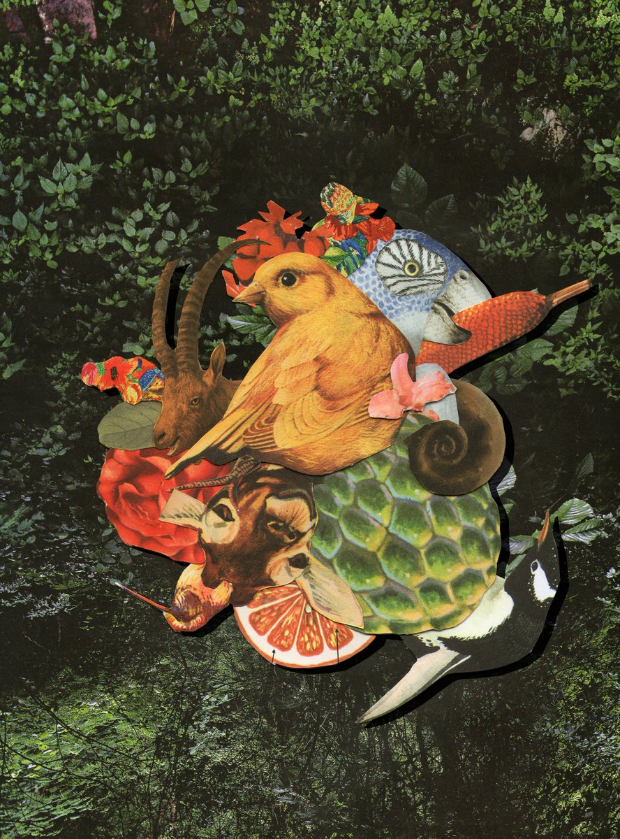 ColomeMelisa's tweet photo. I just minted my first objkt on @hicetnunc2000 

Paseriforme 

Analog Collage 

10 editions  1 $TEZ

https://t.co/e4cWm3BGTy

Show some love to my HENesis ! 

#tezosnft #tezosart #hicetnunc #tezos #collage https://t.co/1a9KpXP4qB