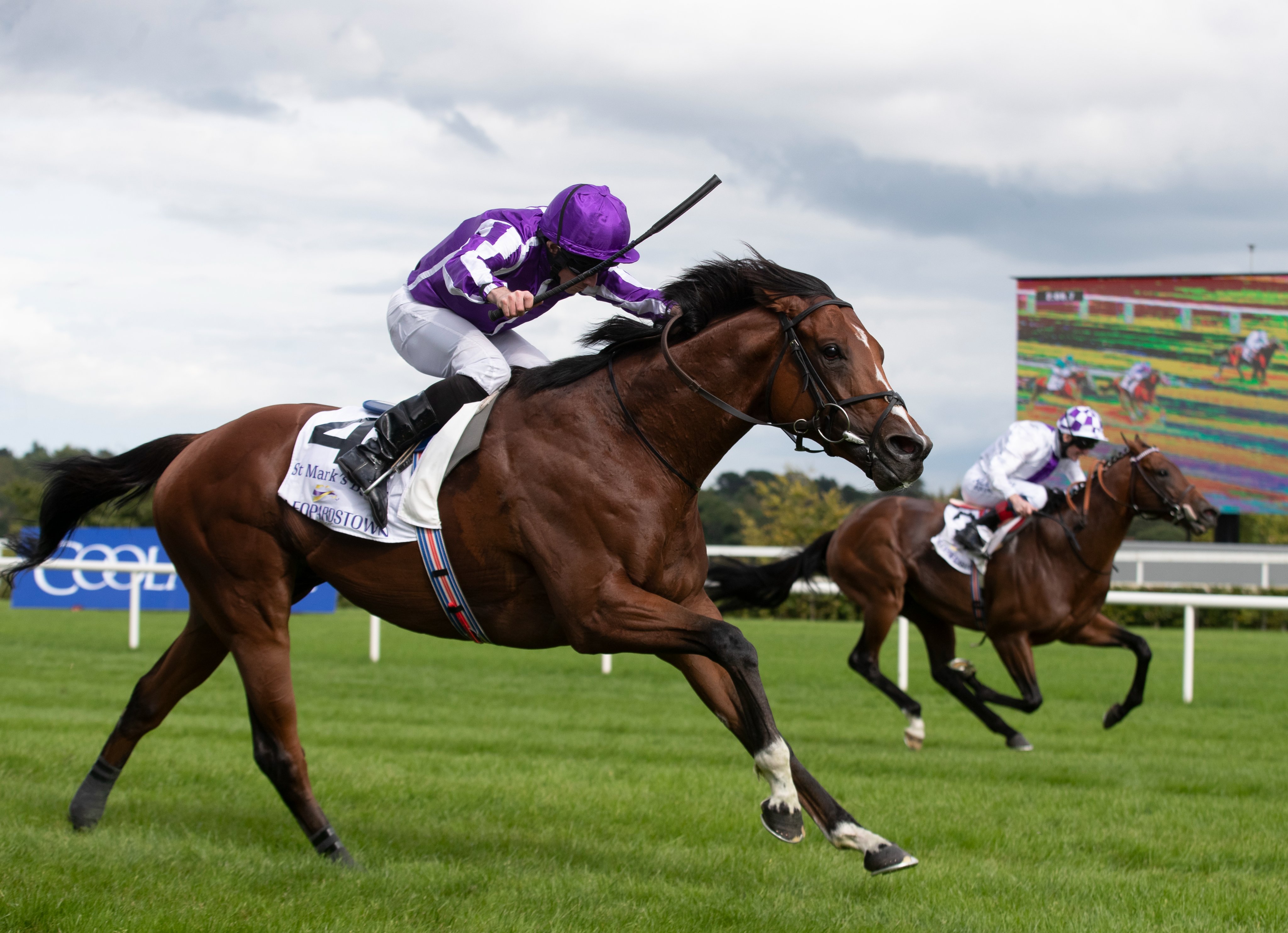 Racing Post on Twitter: "🥇 Darley Dewhurst Stakes 🥇 Poule d'Essai des Poulains 🥇 Prix du Club 🥇 Irish Champion Stakes Where do you rank five-time Group 1 winner