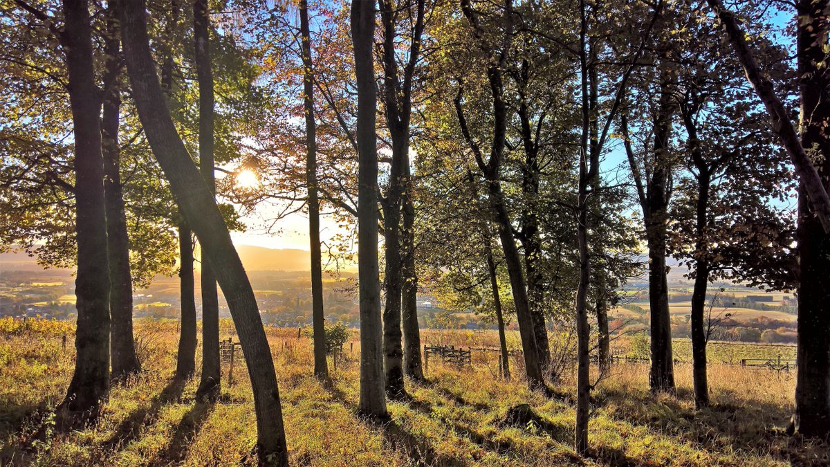 HighlandBndry's tweet photo. We're coming to the end of our special wild distillery tour and guided foraging walk series this Thursday. This has been part of @ForagingF and @GreatPerthshire and we've had glorious weather. Great to see growing interest in foraging and the use of local plants. #bedifferent https://t.co/JemBADRIav