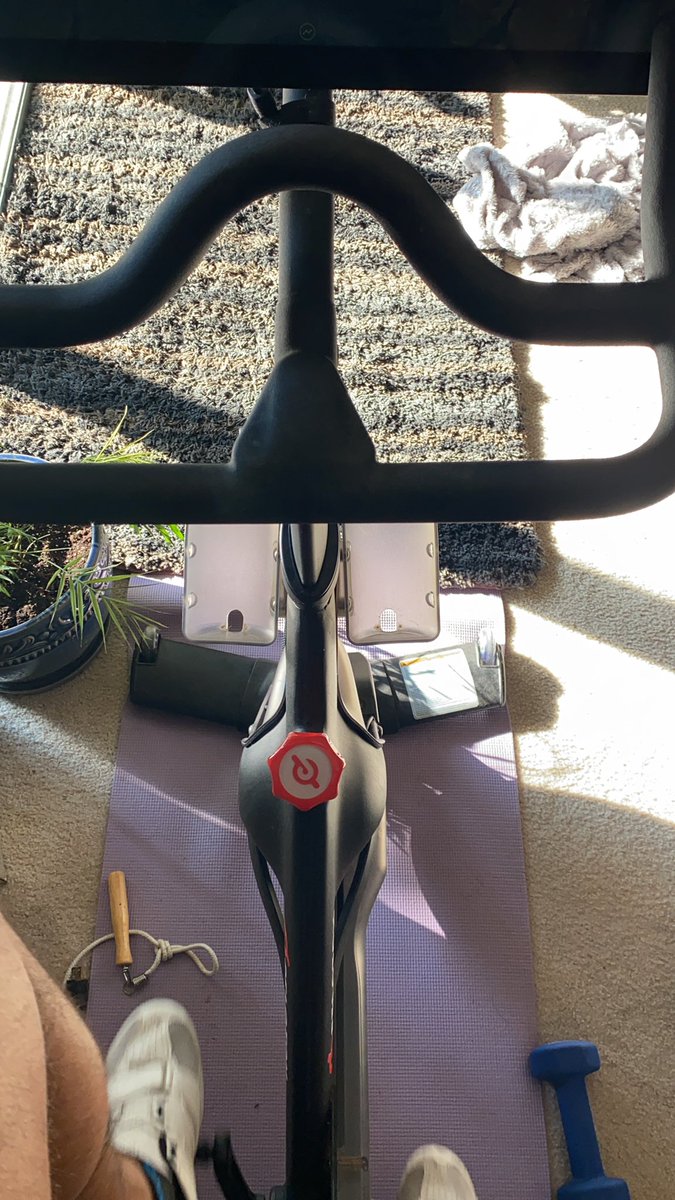 bitcoinYitcoin's tweet photo. You know the deal, I’m mining bitcoin with peloton power 😬#pelotonandhodl #peloton #cycling #bitcoin #cryptocurrency https://t.co/bRArH9cWjc