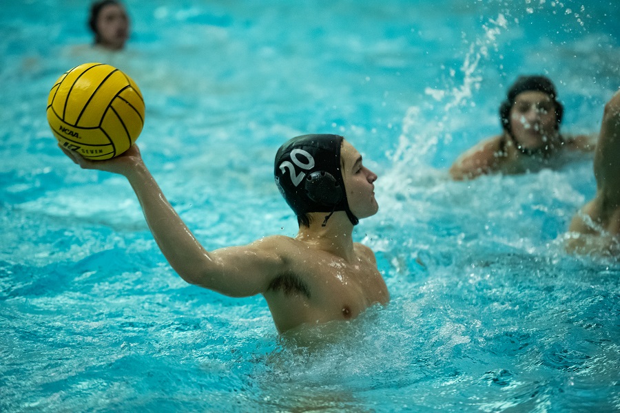 Tiger Water Polo Waterpolotiger Twitter Tiger Water Polo Waterpolotiger Twitter
