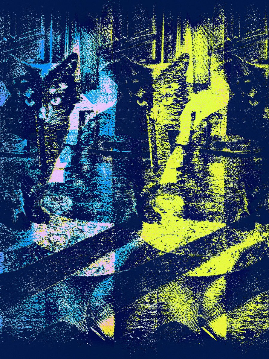 shitpicsofshit's tweet image. Salem Witch Trials. Black cat art because Halloween and all that. #YCSfanartcontest