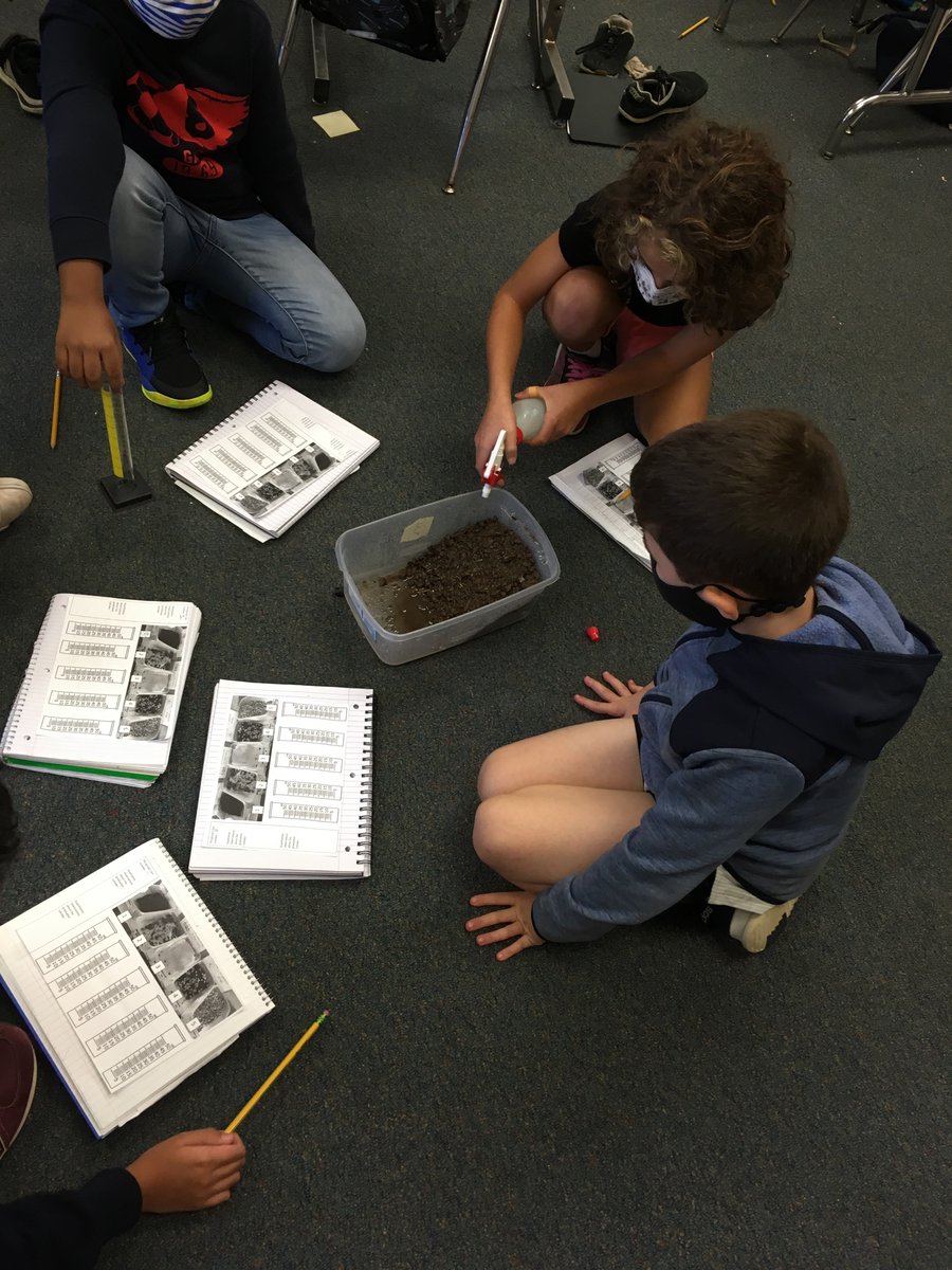 Comparing the effectiveness of different mediums of ground cover on the influence of erosion today in science.