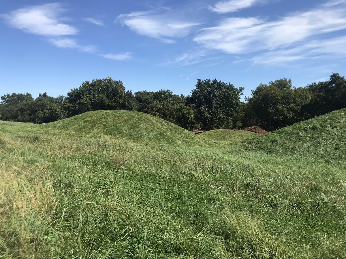 DemDanette's tweet image. #theMSV