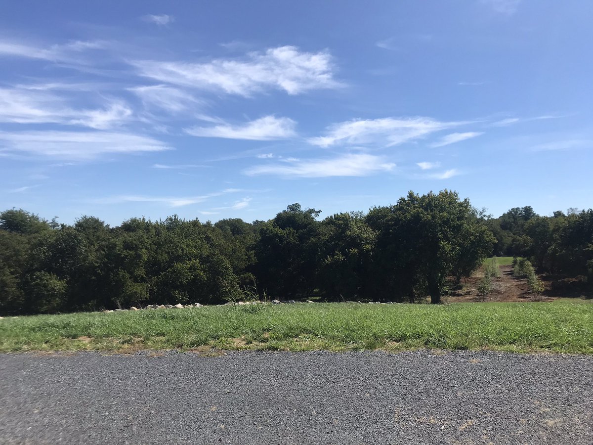 DemDanette's tweet image. #theMSV