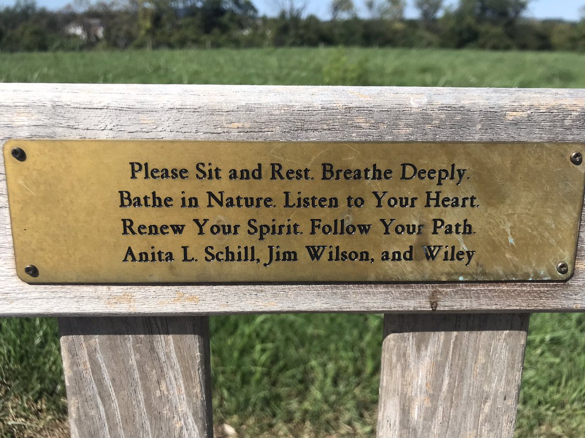 DemDanette's tweet image. #theMSV