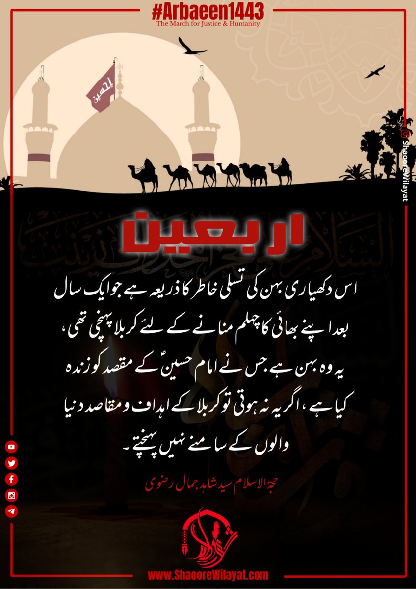 shaoorewilayat's tweet photo. #اربعین اس دکھیاری بہن کی تسلی خاطر کا ذریعہ ہے جو ایک سال بعد اپنے بھائی کا چہلم منانے کے لئے کربلا پہنچی تھی..... 
@ShahidJamalR 

#Arbaeen1443 
#WhatIsArbaeen 
#Arbaeen2021 https://t.co/2s36hBgMfq